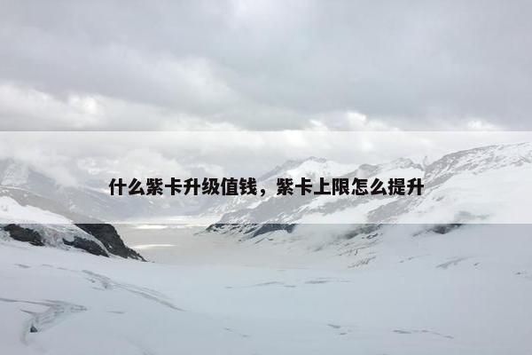 什么紫卡升级值钱，紫卡上限怎么提升
