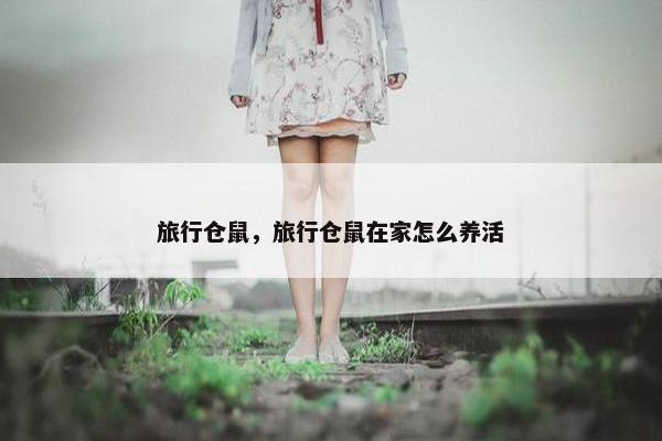 旅行仓鼠，旅行仓鼠在家怎么养活