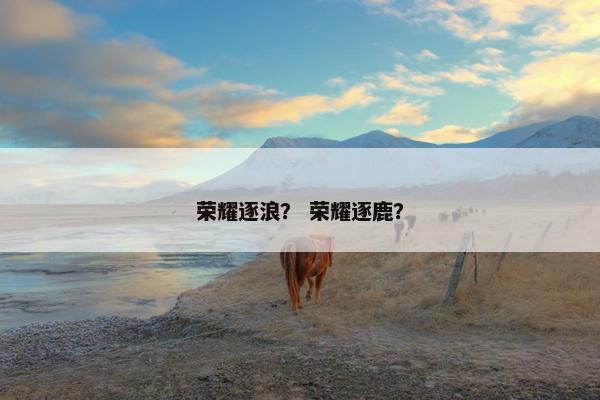 荣耀逐浪？ 荣耀逐鹿？