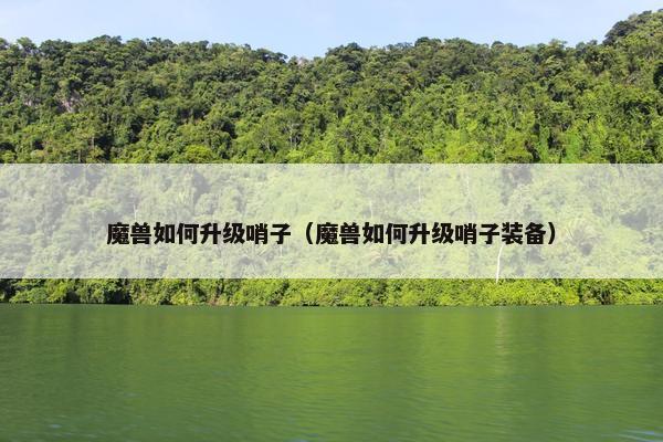 魔兽如何升级哨子（魔兽如何升级哨子装备）