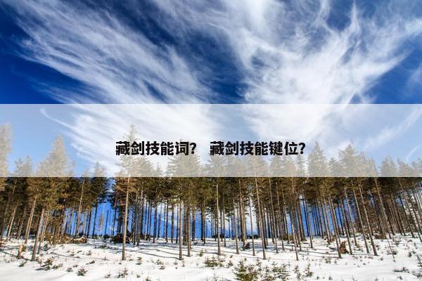 藏剑技能词？ 藏剑技能键位？