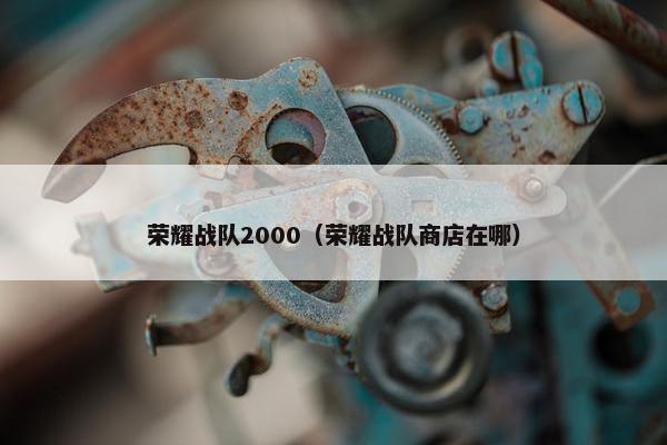 荣耀战队2000（荣耀战队商店在哪）