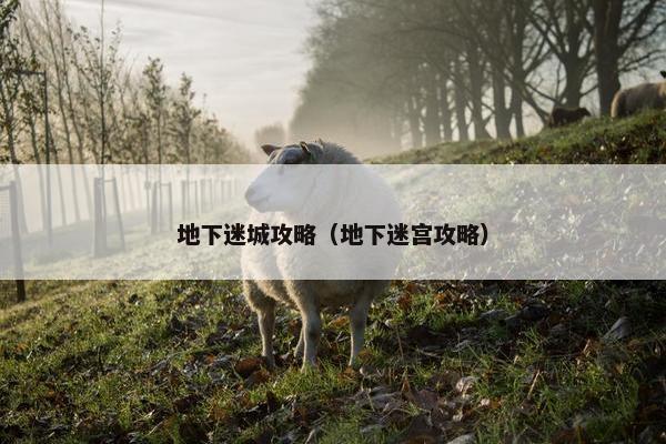 地下迷城攻略（地下迷宫攻略）