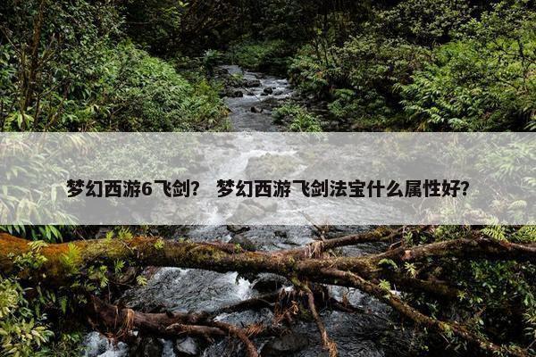 梦幻西游6飞剑？ 梦幻西游飞剑法宝什么属性好？