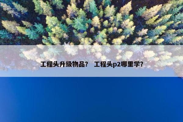 工程头升级物品？ 工程头p2哪里学？
