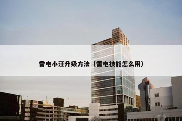 雷电小汪升级方法（雷电技能怎么用）