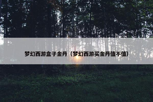梦幻西游盒子金丹（梦幻西游买金丹值不值）