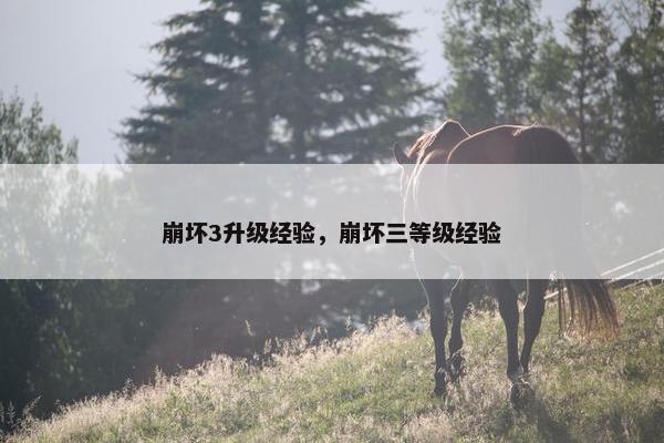 崩坏3升级经验，崩坏三等级经验