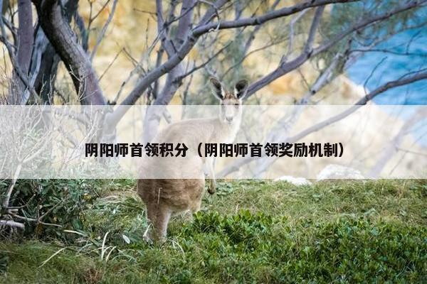 阴阳师首领积分（阴阳师首领奖励机制）