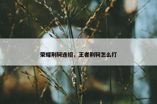荣耀荆轲连招，王者荆轲怎么打