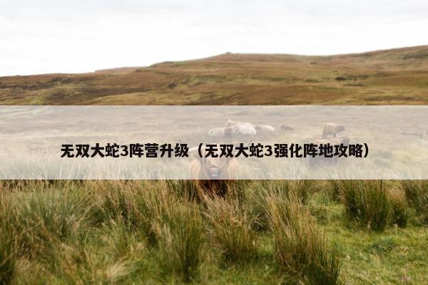 无双大蛇3阵营升级（无双大蛇3强化阵地攻略）