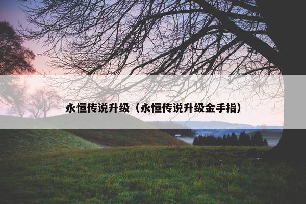 永恒传说升级（永恒传说升级金手指）