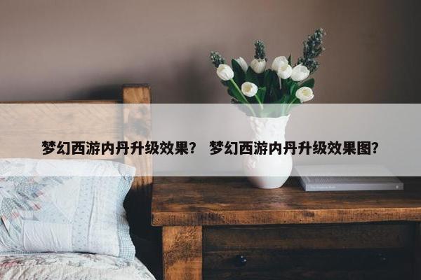 梦幻西游内丹升级效果？ 梦幻西游内丹升级效果图？
