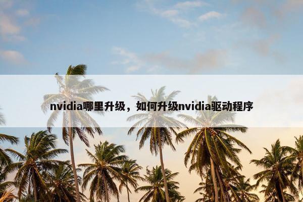 nvidia哪里升级，如何升级nvidia驱动程序