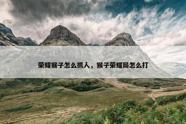 荣耀猴子怎么抓人，猴子荣耀局怎么打