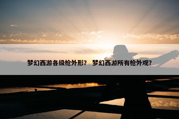 梦幻西游各级枪外形？ 梦幻西游所有枪外观？