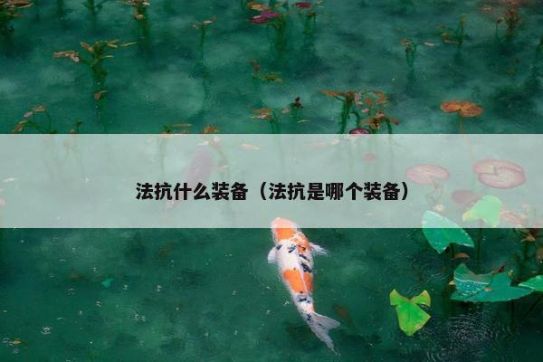 法抗什么装备（法抗是哪个装备）