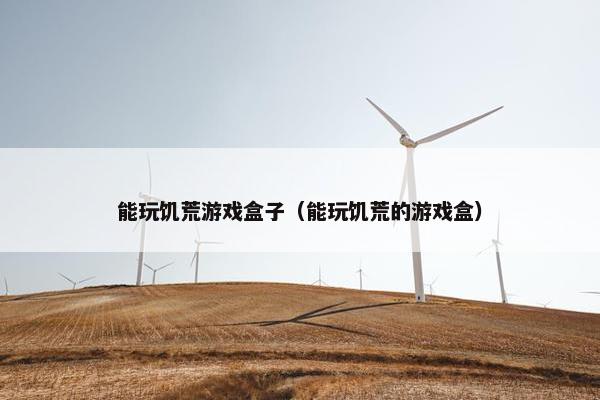 能玩饥荒游戏盒子（能玩饥荒的游戏盒）