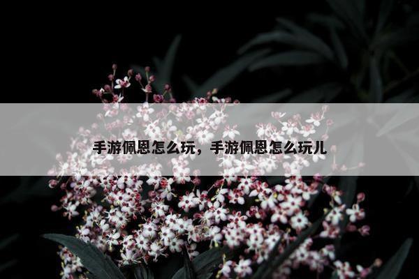 手游佩恩怎么玩，手游佩恩怎么玩儿