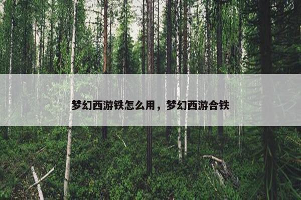 梦幻西游铁怎么用，梦幻西游合铁