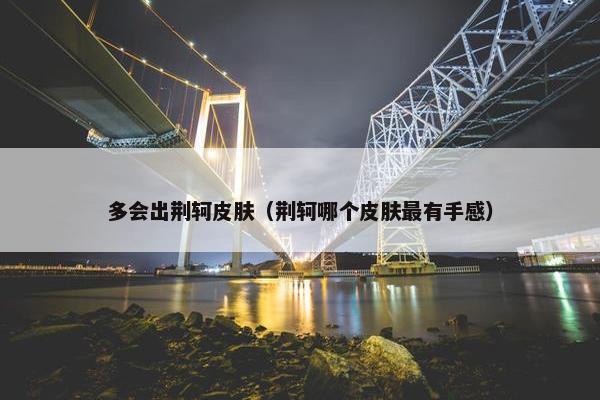 多会出荆轲皮肤（荆轲哪个皮肤最有手感）