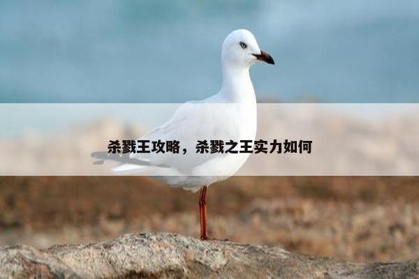 杀戮王攻略，杀戮之王实力如何
