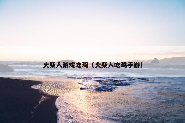 火柴人游戏吃鸡（火柴人吃鸡手游）