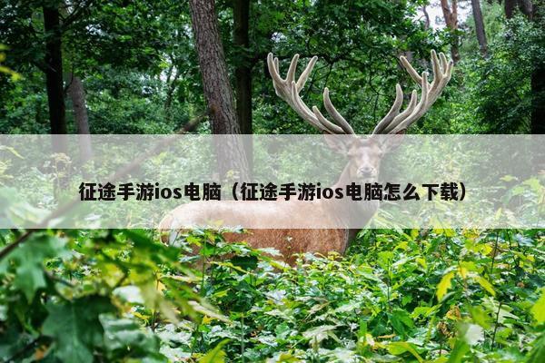 征途手游ios电脑（征途手游ios电脑怎么下载）