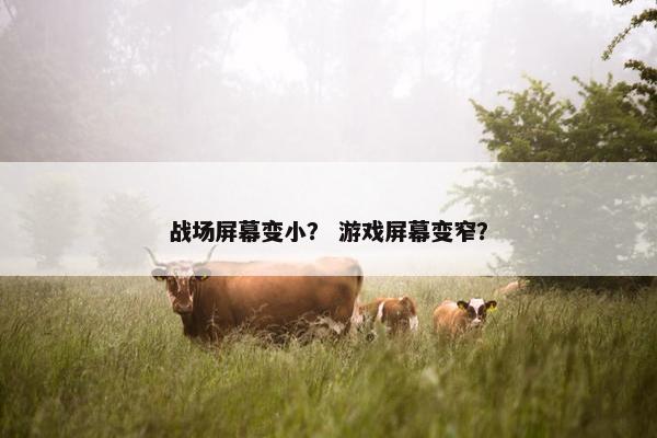 战场屏幕变小？ 游戏屏幕变窄？