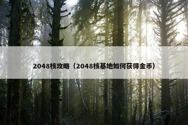2048核攻略（2048核基地如何获得金币）