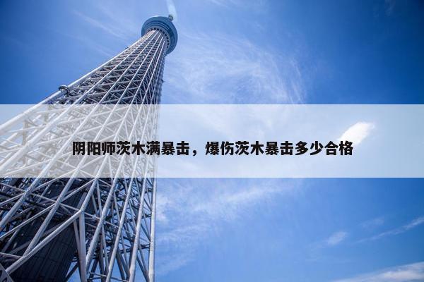 阴阳师茨木满暴击，爆伤茨木暴击多少合格