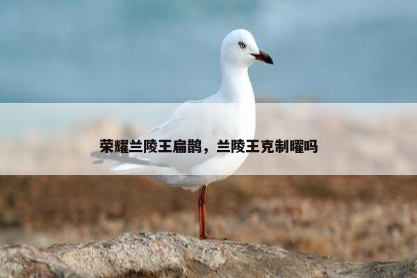 荣耀兰陵王扁鹊，兰陵王克制曜吗