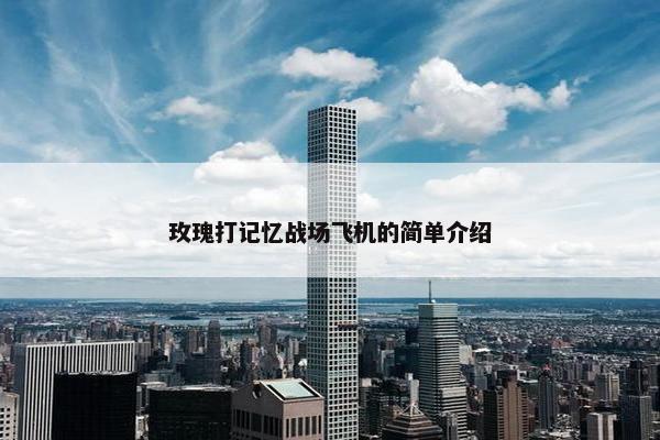 玫瑰打记忆战场飞机的简单介绍