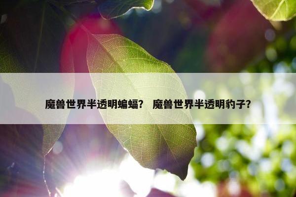 魔兽世界半透明蝙蝠？ 魔兽世界半透明豹子？