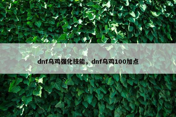dnf乌鸡强化技能，dnf乌鸡100加点