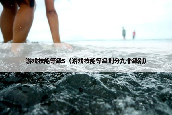 游戏技能等级S（游戏技能等级划分九个级别）