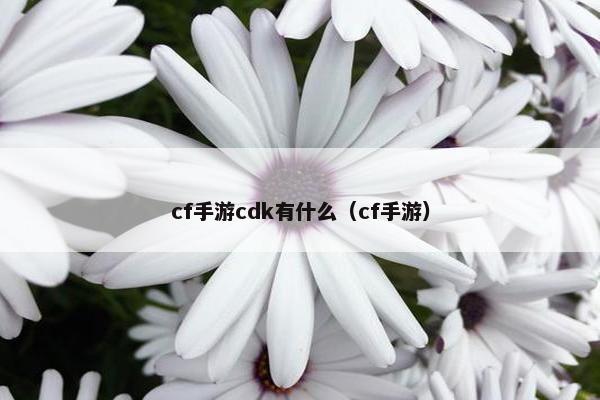 cf手游cdk有什么（cf手游）