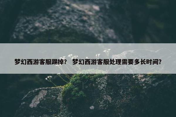 梦幻西游客服踢掉？ 梦幻西游客服处理需要多长时间？