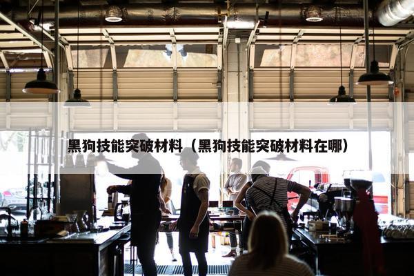 黑狗技能突破材料（黑狗技能突破材料在哪）