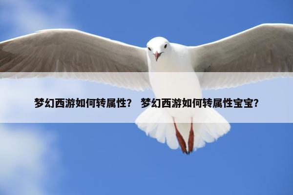 梦幻西游如何转属性？ 梦幻西游如何转属性宝宝？