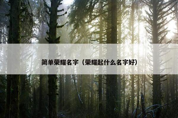 简单荣耀名字（荣耀起什么名字好）