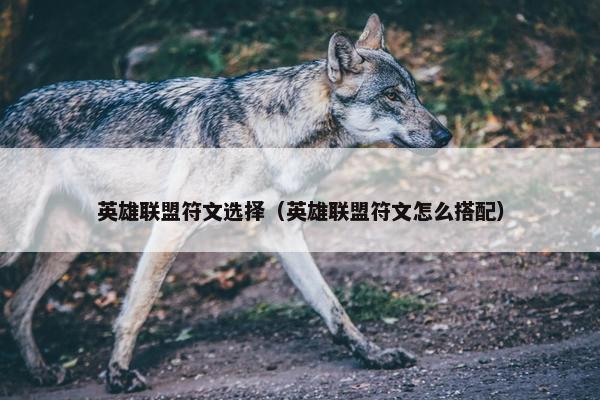 英雄联盟符文选择（英雄联盟符文怎么搭配）
