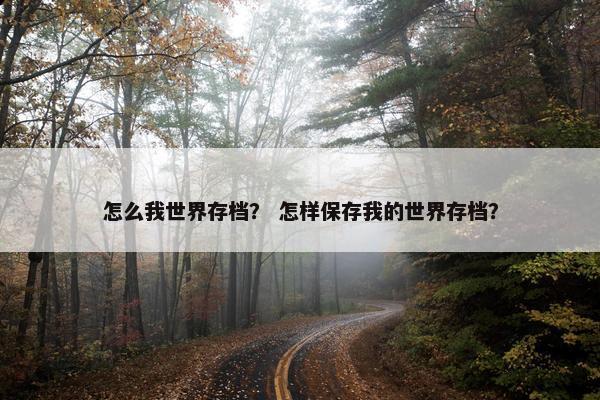 怎么我世界存档？ 怎样保存我的世界存档？