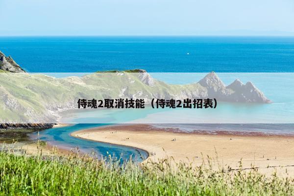侍魂2取消技能（侍魂2出招表）
