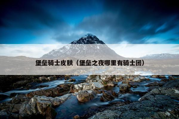 堡垒骑士皮肤（堡垒之夜哪里有骑士团）