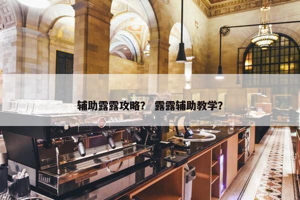 辅助露露攻略？ 露露辅助教学？