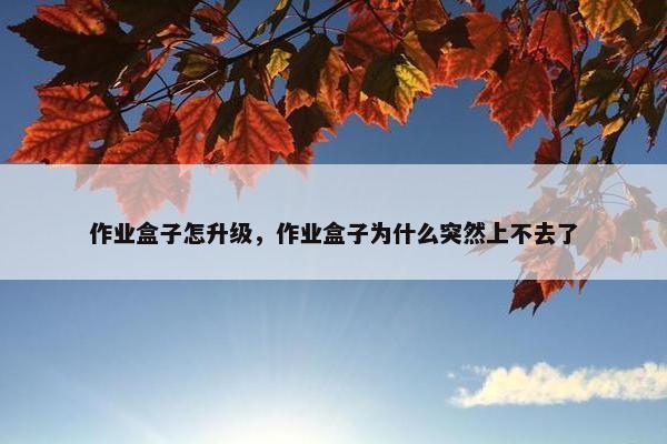 作业盒子怎升级，作业盒子为什么突然上不去了