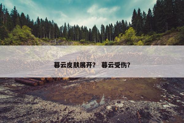 暮云皮肤展开？ 暮云受伤？