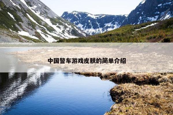 中国警车游戏皮肤的简单介绍