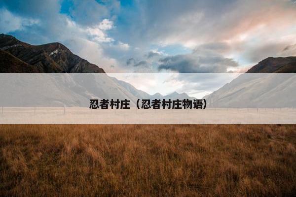 忍者村庄（忍者村庄物语）
